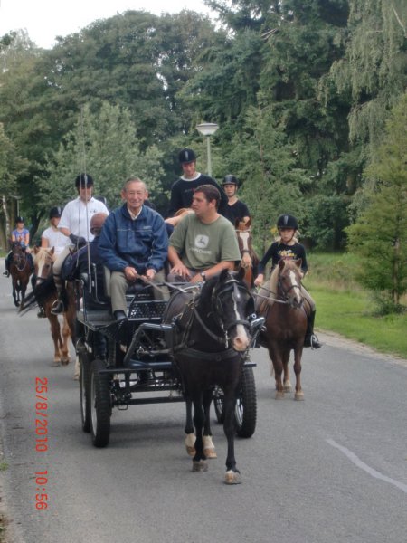 ponykamp201084.jpg