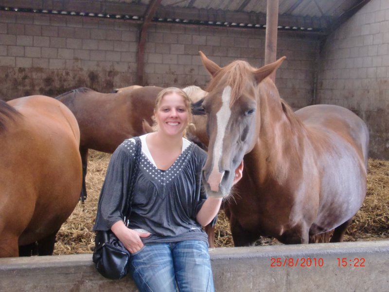 ponykamp201128.jpg