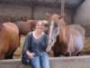 ponykamp201128_small.jpg