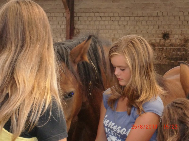 ponykamp201131.jpg